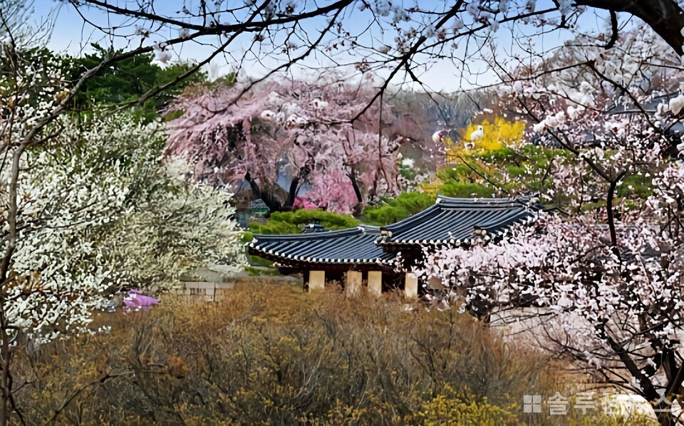 View of the Naekseonjae area of Changdeokgung Palace (Photo courtesy of the Cultural Heritage Administration)