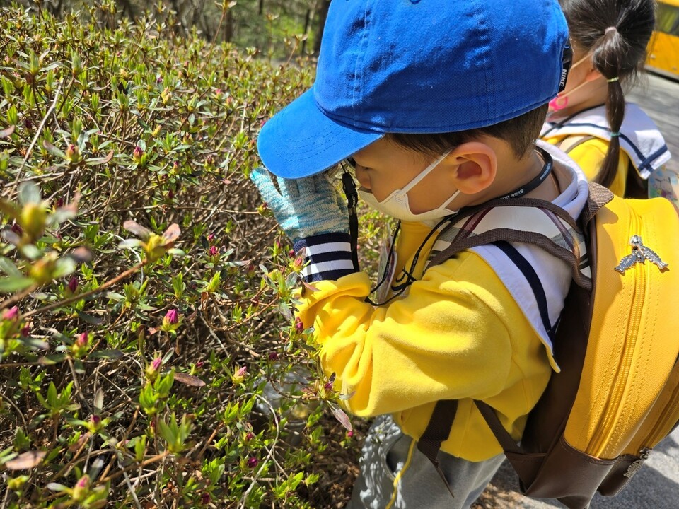 Let's Play with Insects (Photo courtesy of the Korea Forest Service)