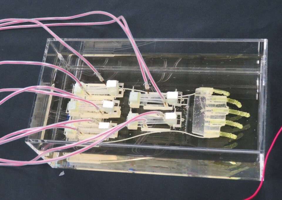 Bio-hybrid robotic hand developed by University of Tokyo and Waseda University research team