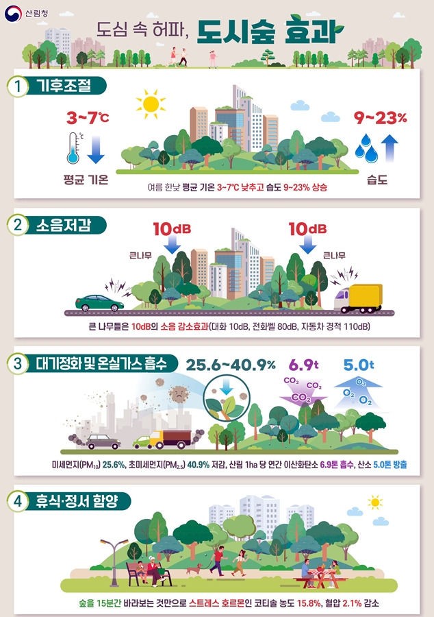 Lung in the city, the effect of urban forests