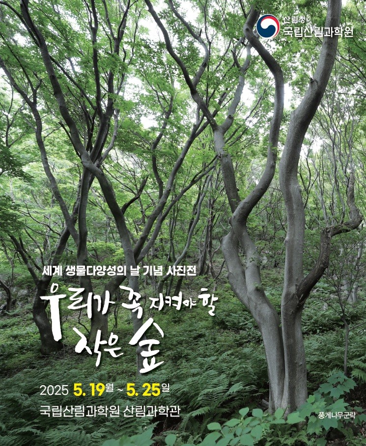 작은 숲 사진전