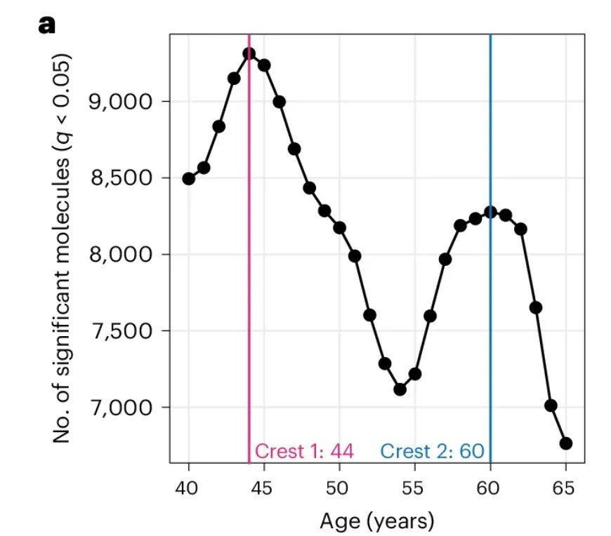 Nonlinear dynamics of multi-omics profiles during human aging, ネイチャーエイジング 2024.08
