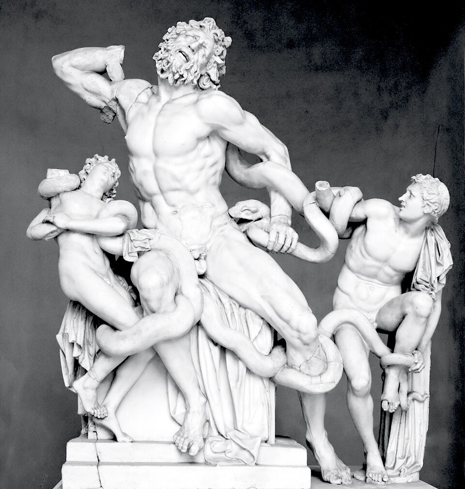 Laocoön and His Sons in the Vatican Museum
