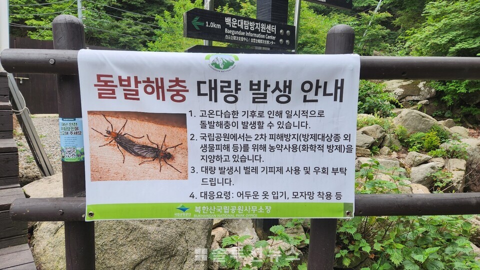 北漢山国立公園に設置された突発害虫大量発生案内表示板