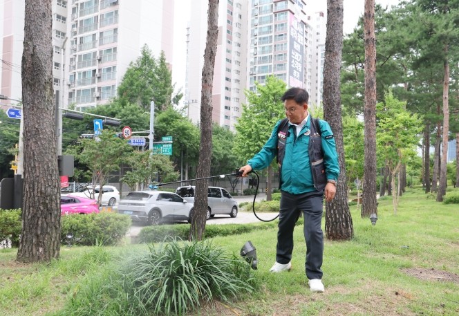 박강수 마포구청장 “러브버그, 주민 불편을 최소화하는 것이 구의 역할”