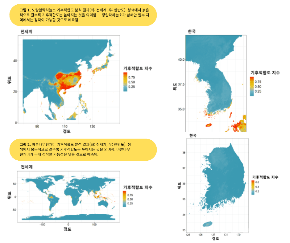 외래 침입해충 기후적합도 분석 결과 예시 (출처=국립산림과학원 그래픽=솔루션뉴스)