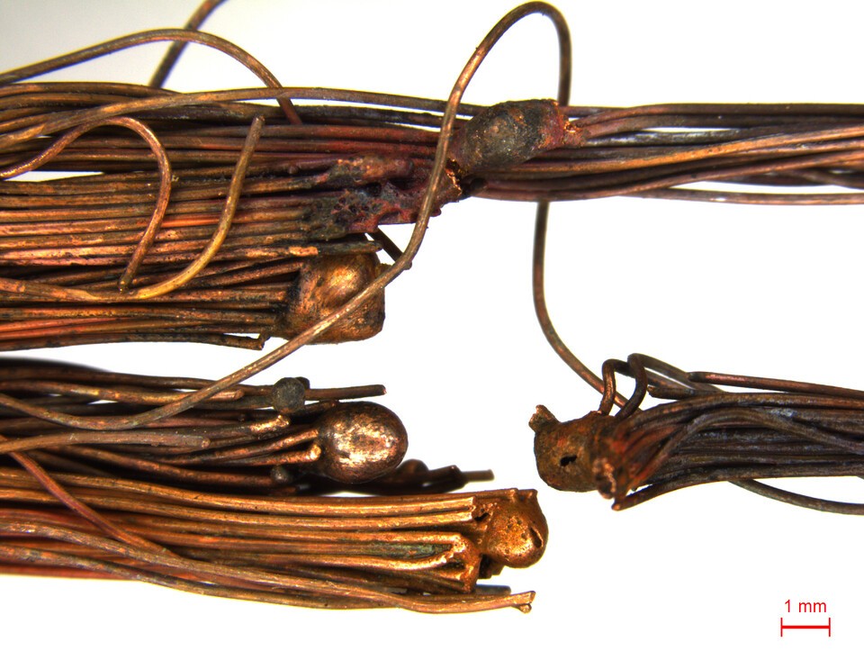 Danrakheun (photo: National Forensic Service)