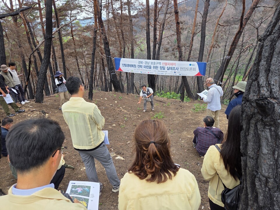 주왕산국립공원에서 산림생태복원 방안을 논의하기 위한 현장토론회 모습 (사진제공=산림청)