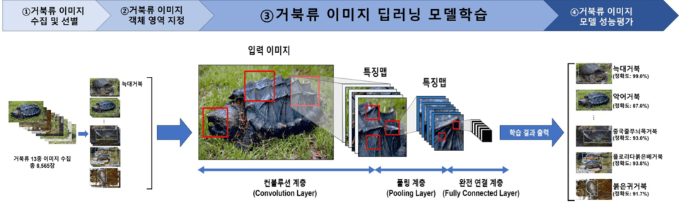 AIを基にした輸出入カメ類種識別研究技術の要約