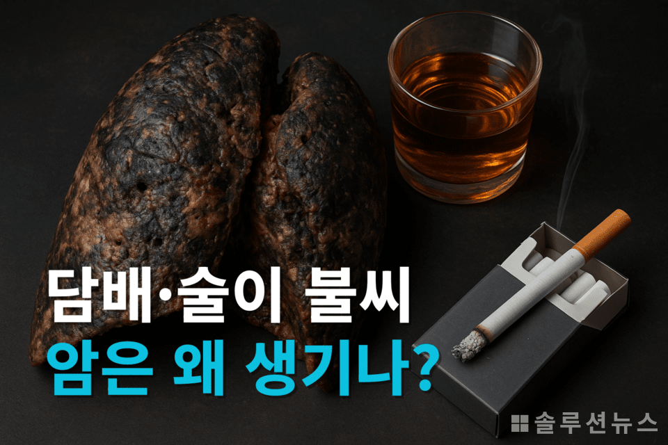 癌症,细胞的微小错误所致的巨大疾病 ⓒ解决方案新闻