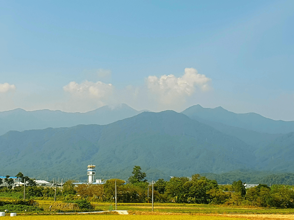 在雪岳山小公园售票处附近看到的雪岳山枫叶(2025.10.2.)