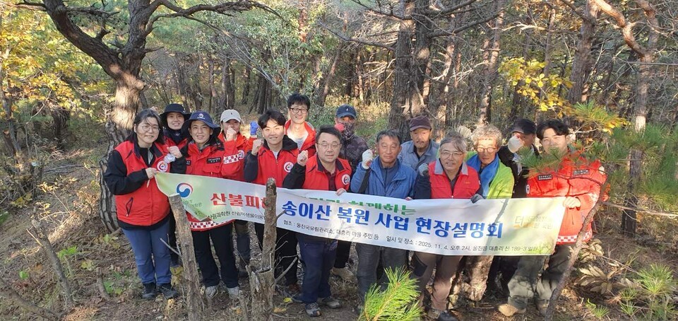 Application of pine mushroom cultivation technology using infected seedlings in the wildfire-affected area in Uljin