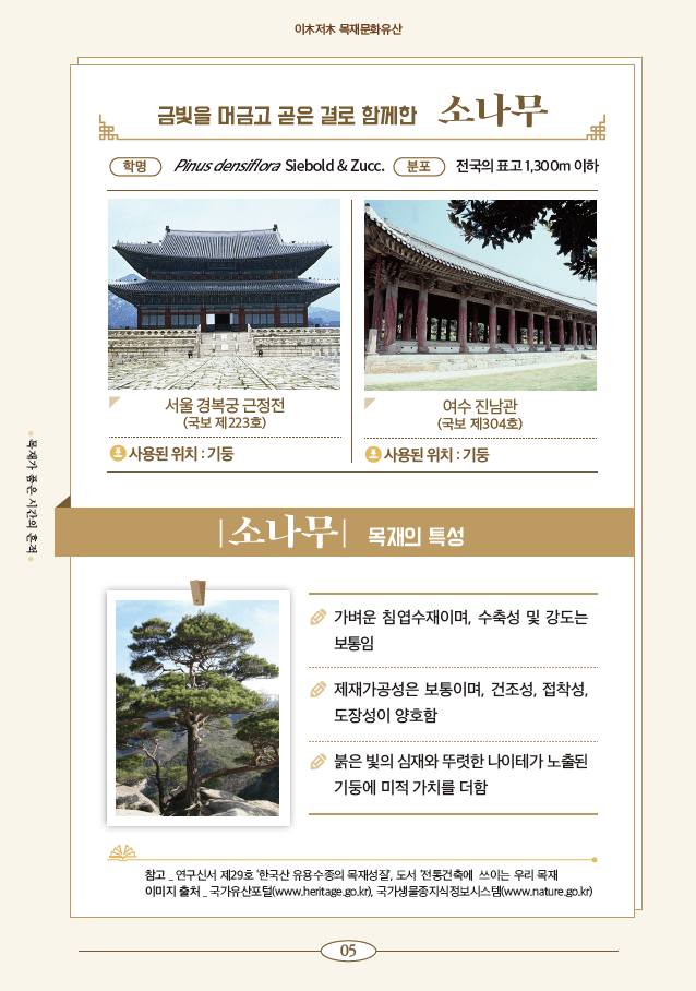 Pine trees in wood cultural heritage (Source: Korea Forest Service)