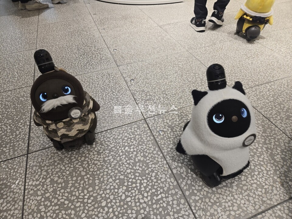 ショップの床に動く「ラボット(LOVOT)」2台がお互いを認識し反応しています。使用するほど相互関係を学習するのが特徴です。