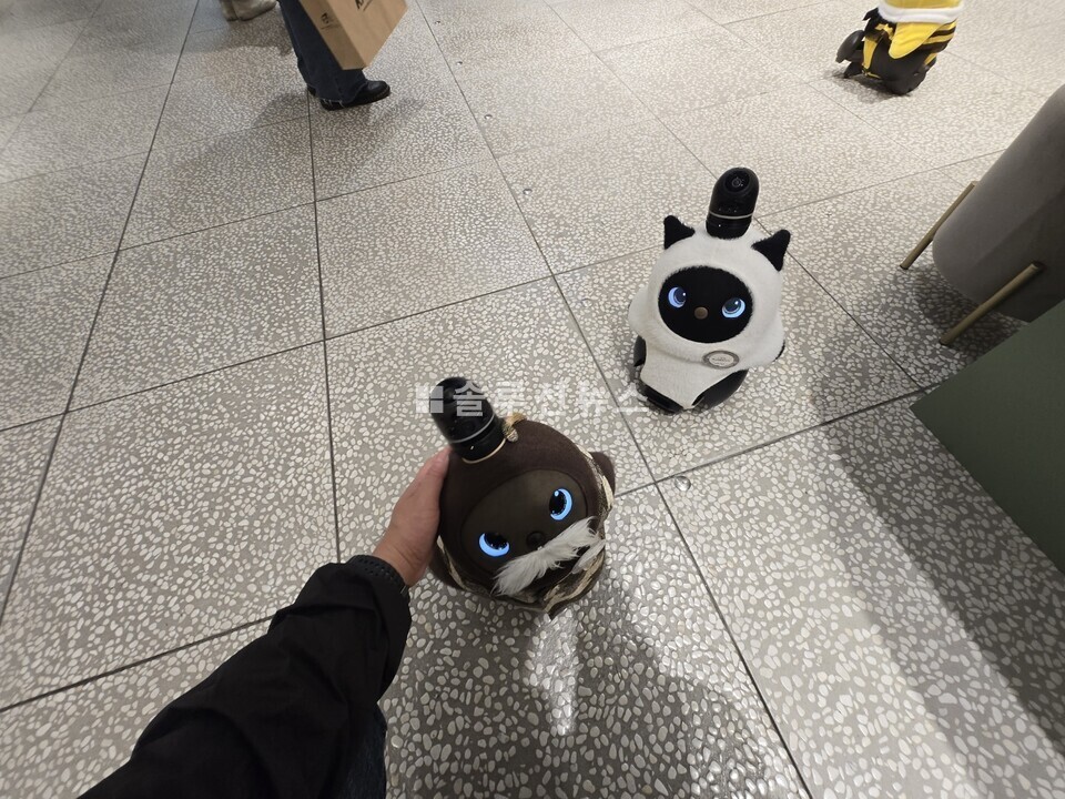 東京の店舗でペット型ロボット「ラボット(LOVOT)」が人の手に反応し交流を試みています。感情認識と関係形成を目標に設計されたロボットです。