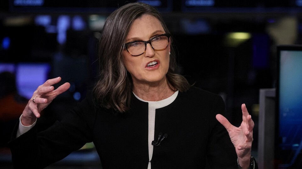 Cathie Wood, CEO of Ark Invest, known in Korea as ‘Money Tree Sister’ (Photo - traders union)