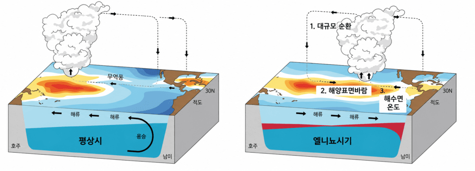 エルニーニョが発生すると海面の風と大気循環が変わり、太平洋の海面水温分布にも変化が生じる。