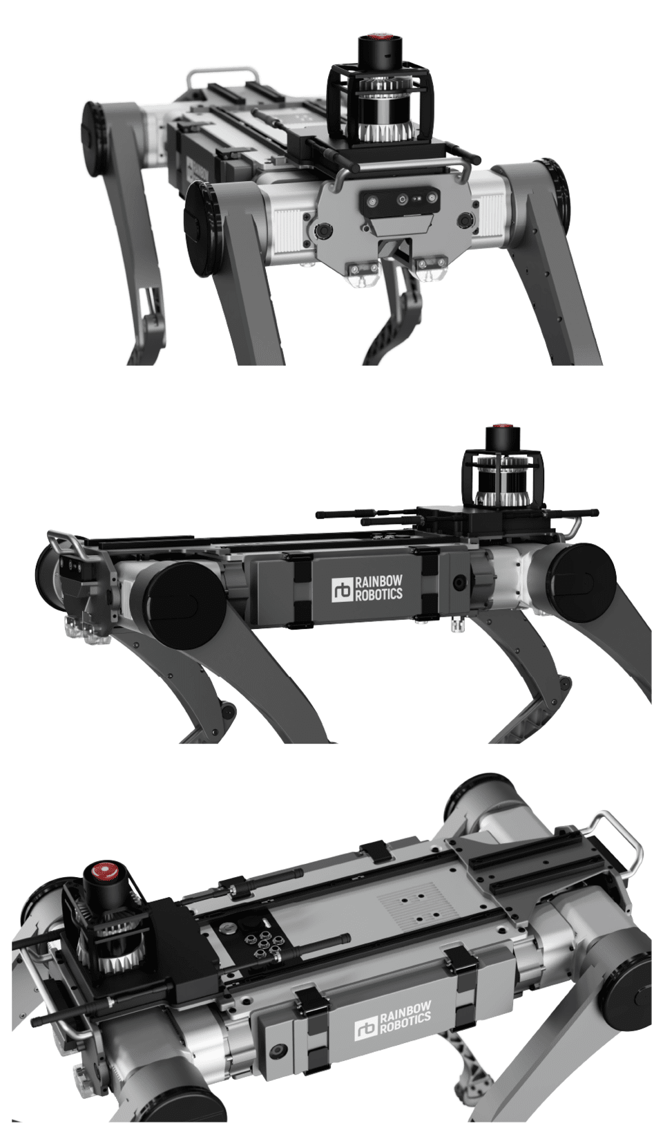 四足机器人（图片=Rainbow Robotics）