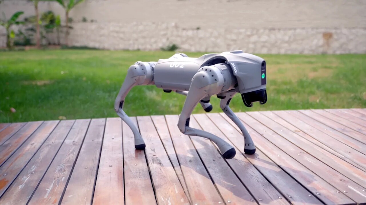 Unitree Go2 (Photo courtesy of Unitree Robotics)
