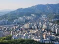 동탄·기흥·구리 대출규제 즉시 시행…LTV 70→40% 조인다